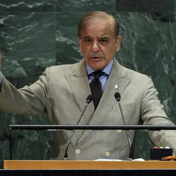 Emir of Qatar reviews regional developments with Pakistan Prime Minister