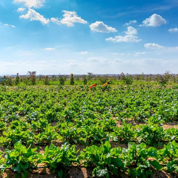 Gheras advances integrated farming in Sharjah