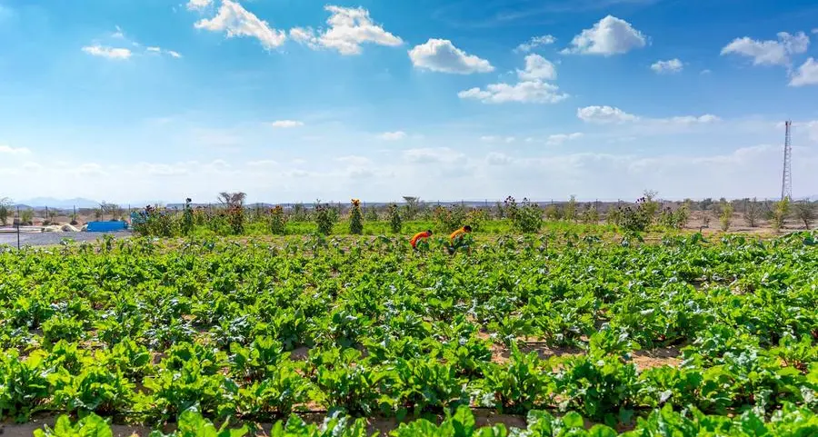 Gheras advances integrated farming in Sharjah