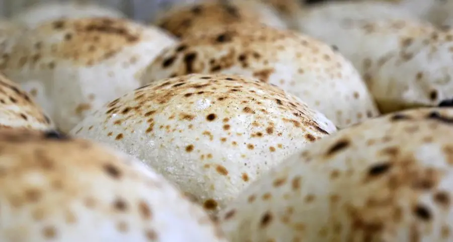 Egypt confirms subsidized bread price unchanged despite higher diesel prices