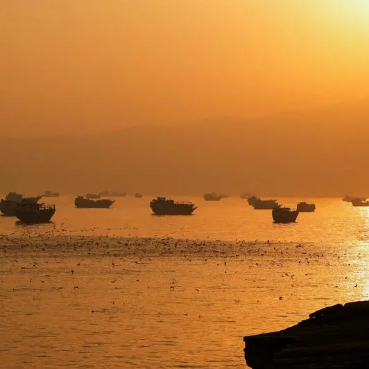 IEA sees significant 2027 oil surplus after Hormuz recovery
