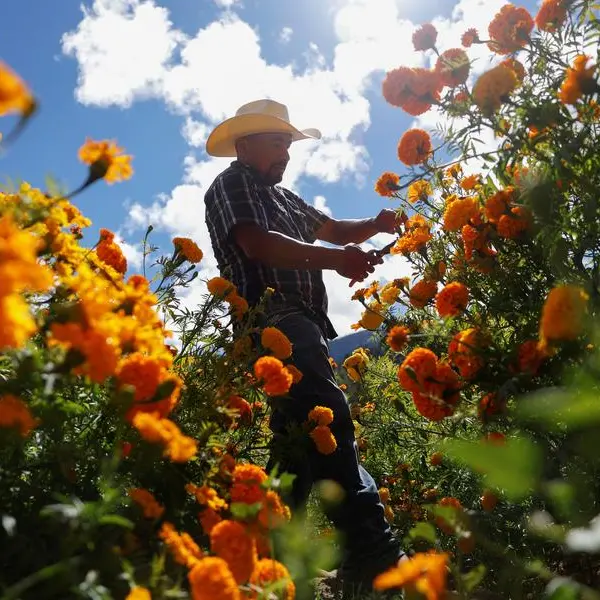 US farmers back Trump but face pain from China tariff threats