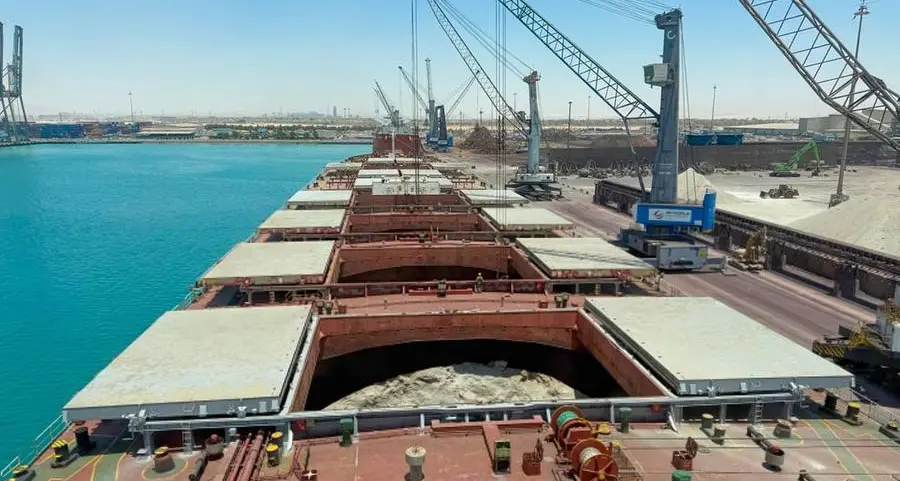 DP World Egypt handles largest-ever specialist vessel carrying slag cargo at Ain Sokhna Port