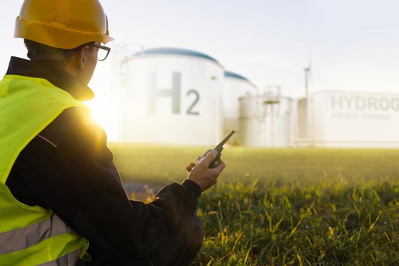 Egypt's minister discusses Sinai hydrogen project, hyperscale data center with Renergy alliance