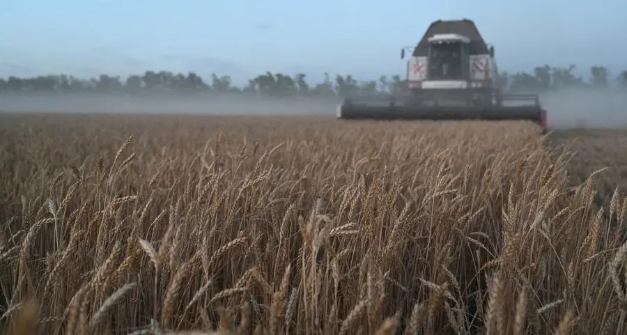 Black Sea may hold back world wheat supplies into 2026: Braun