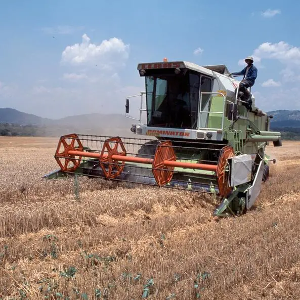 Zimbabwe: Food access improves with harvests, but grain prices remain high in deficit areas