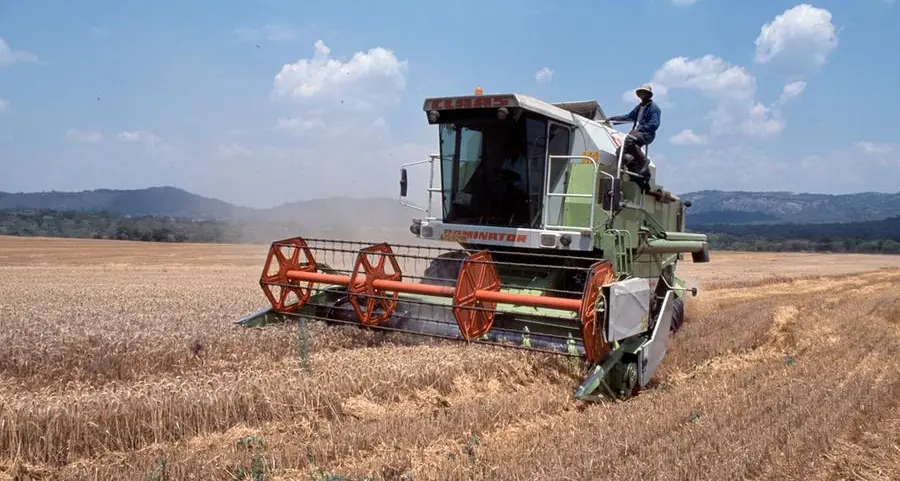Zimbabwe: Food access improves with harvests, but grain prices remain high in deficit areas