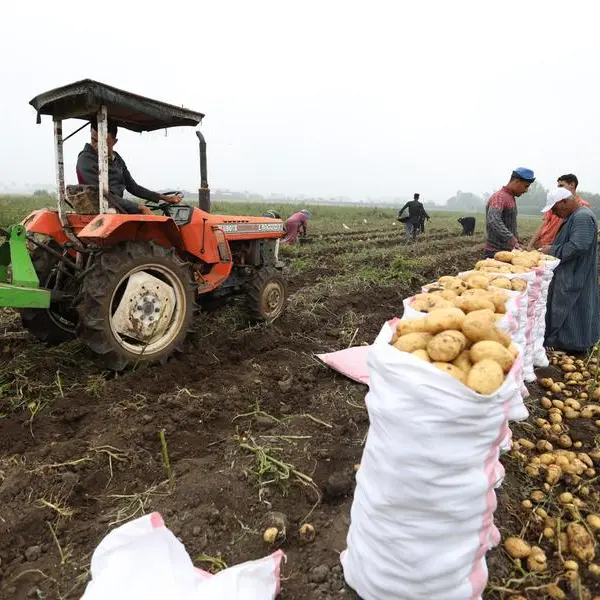 Egypt’s agricultural exports leap to 9.5mln tons in 2025