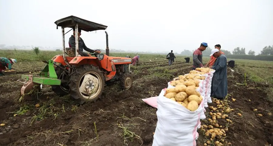 Egypt, GIZ, IFAD partner to drive climate-resilient agriculture under NWFE programme