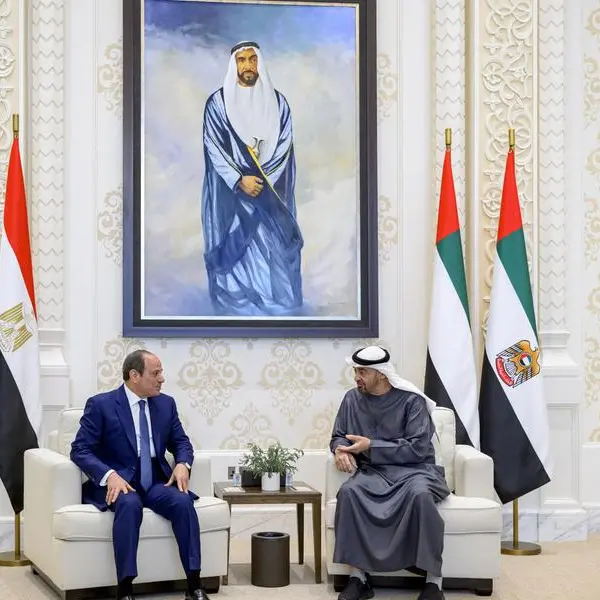 UAE and Egyptian Presidents discuss cooperation and regional developments