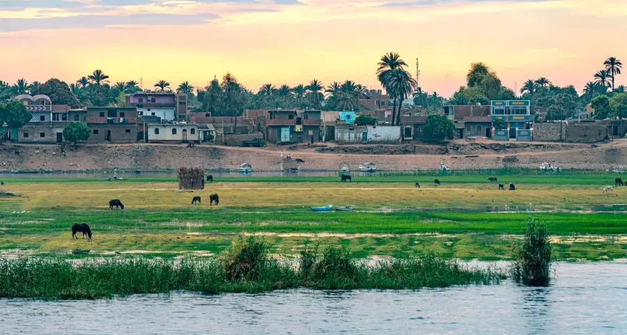 $213mln injected into Egypt's veal project in 2025: Official