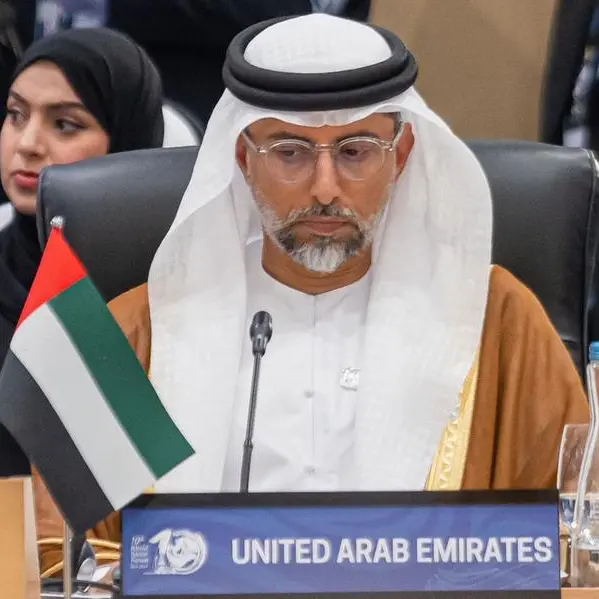 We must develop, adopt sustainability solutions: UAE's minister