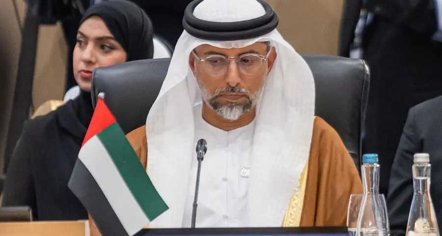 We must develop, adopt sustainability solutions: UAE's minister