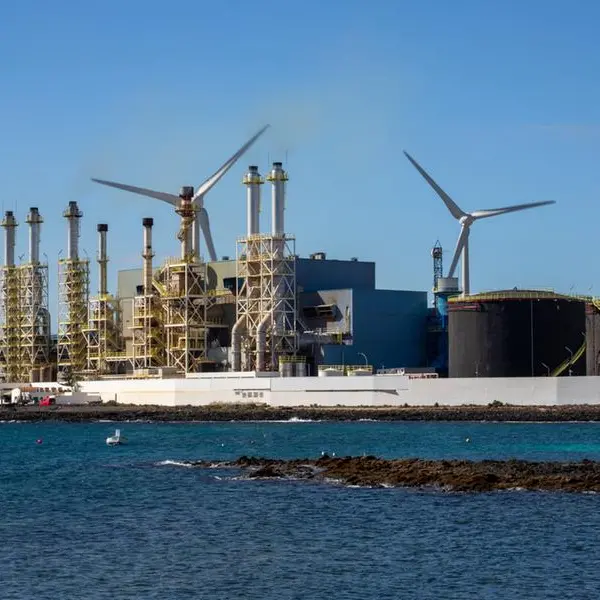 Egypt to offer seawater desalination plants to private sector for operation, maintenance