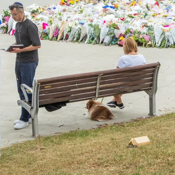Australia plans tougher gun laws after police say father and son killed 15 at Bondi Beach
