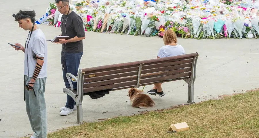 Australia plans tougher gun laws after police say father and son killed 15 at Bondi Beach