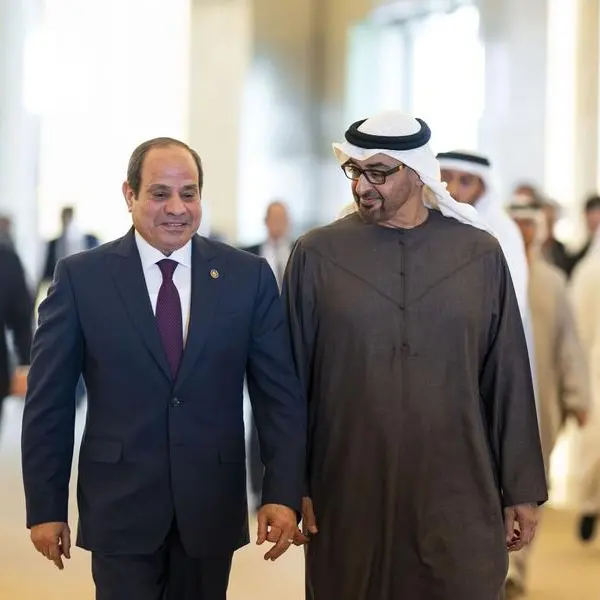 UAE, Egyptian Presidents discuss bilateral relations, regional developments