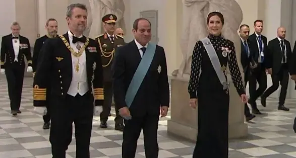 Establishment of the Egypt-Denmark Business Council to strengthen bilateral relations