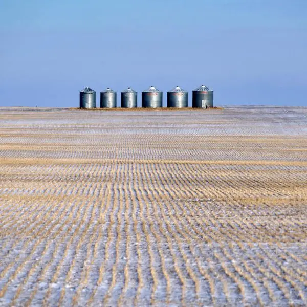 Soybeans, wheat and corn fall on Argentine export tax cuts