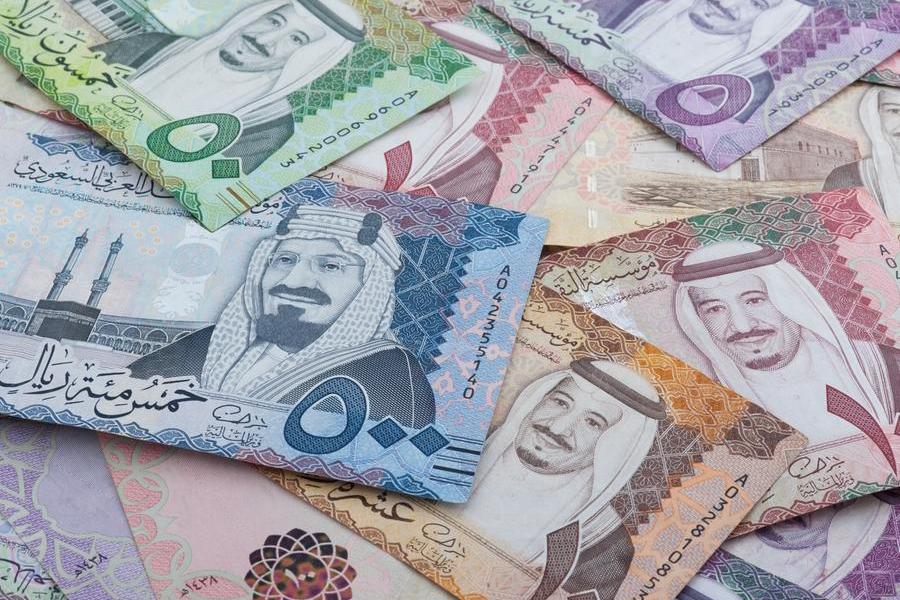 Warburg Pincus to partner with Saudi Arabia's Hassana for investment opportunities