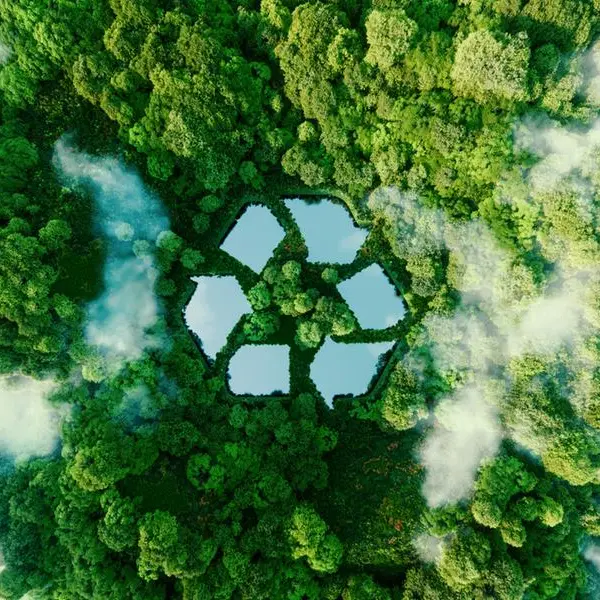 A new economic logic for sustainability