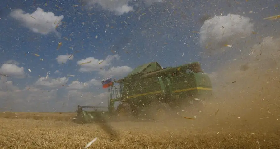 Ukraine's once-booming grain industry teetering on being a war casualty: Braun