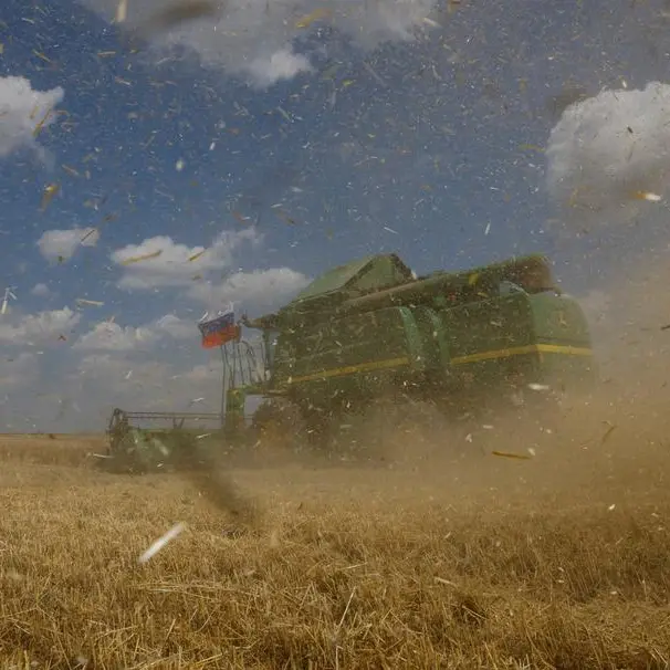 Oman: Wheat production expected to exceed 7,700t