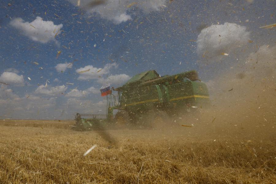 Ukraine 2025 crop wheat prices rose over past two weeks, analyst says