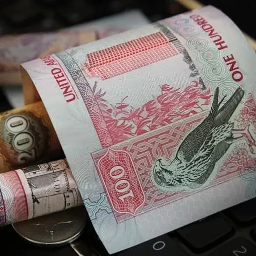 Banking sector transfers rise to $925.7bln in Jan-Feb 2025: CBUAE