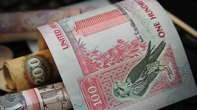 Abu Dhabi sovereign investor ADQ secured $5bln term loan, taps Greater China