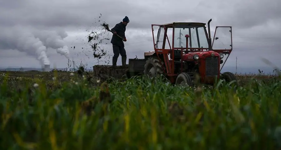 Algeria bought corn and soymeal in tender but volume unclear, traders say