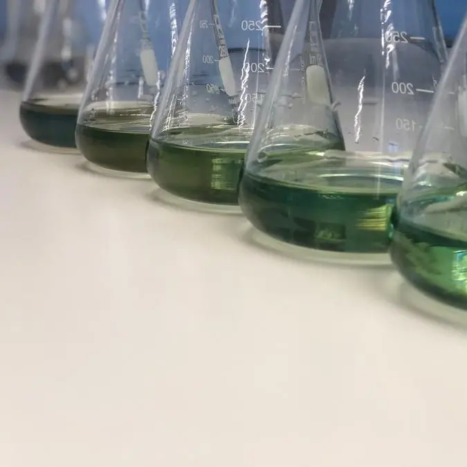 Egypt probes green ammonia project in Ras Banas with Hynfra-led consortium