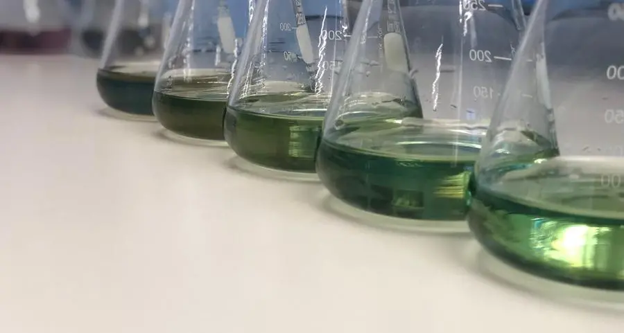 Egypt probes green ammonia project in Ras Banas with Hynfra-led consortium