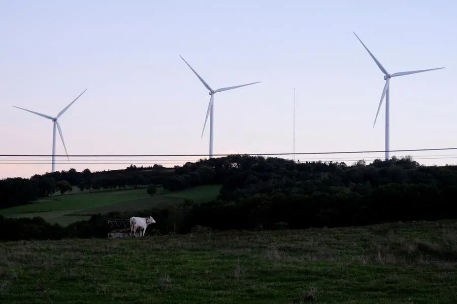 FILE PHOTO: A view shows wind turbines in front of a cow at Paradela\\'s City Council, in Galicia, Spain September 27, 2022. REUTERS/Nacho Doce. , Reuters
