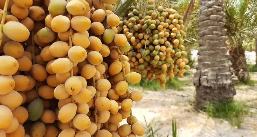 Arab Authority for Agricultural Investment and Development, Bahrain's 'Ghitha' boost cooperation