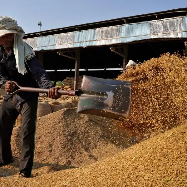 India's rice exporters seek deals with emerging markets after strong monsoon