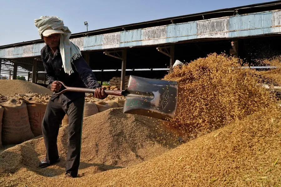 India's rice exporters seek deals with emerging markets after strong monsoon