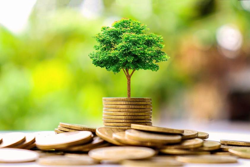 Arabian Gulf Steel gets key sustainable financing from Mashreq