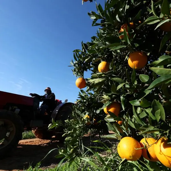 Africa food systems not on track, time for decisive action