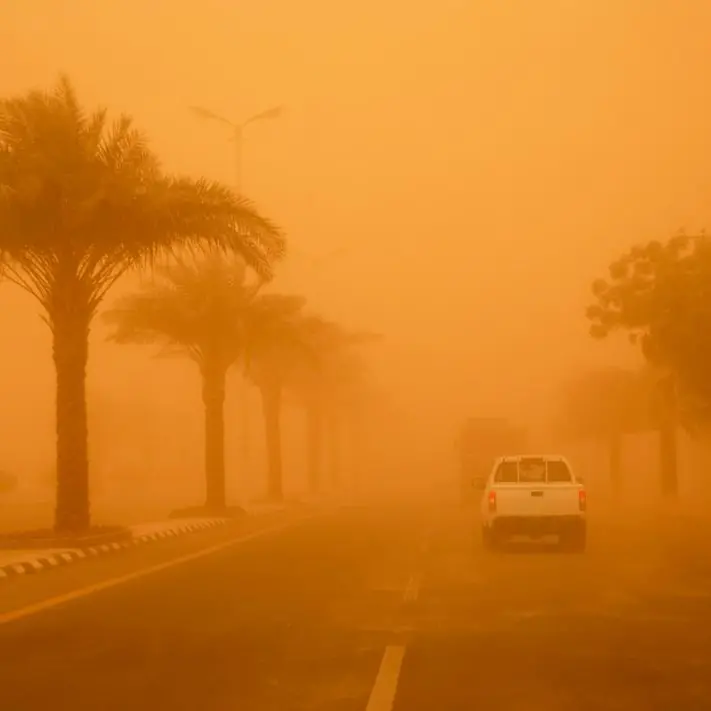 Saudi Arabia records 53% drop in dust and sandstorms in 2025