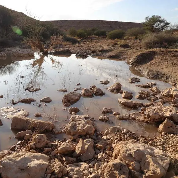 Saudi Arabia: Over $12bln pledged for land restoration, drought resilience