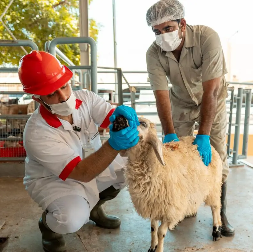 Dubai Municipality launches comprehensive campaign to enhance customer experience at abattoirs during Eid Al-Adha