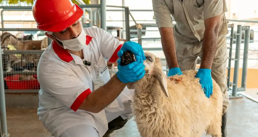 Dubai Municipality launches comprehensive campaign to enhance customer experience at abattoirs during Eid Al-Adha