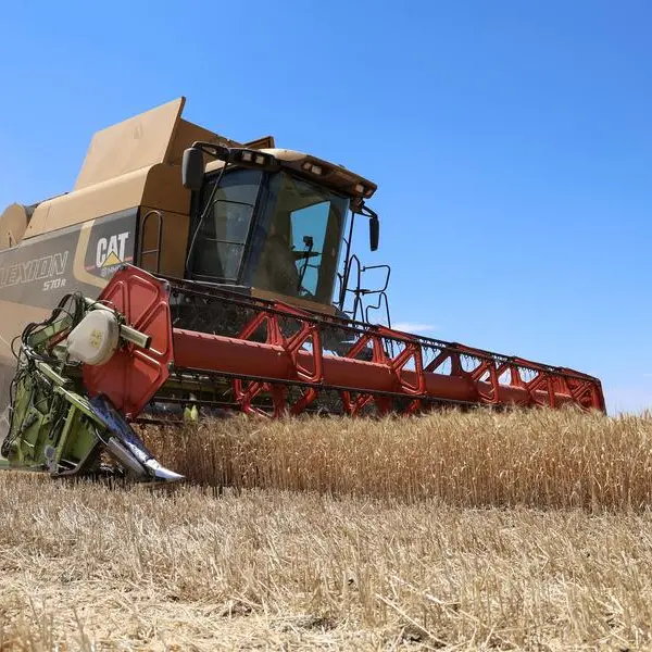 Jordan issues tender to buy up to 120,000 tons of wheat, traders say