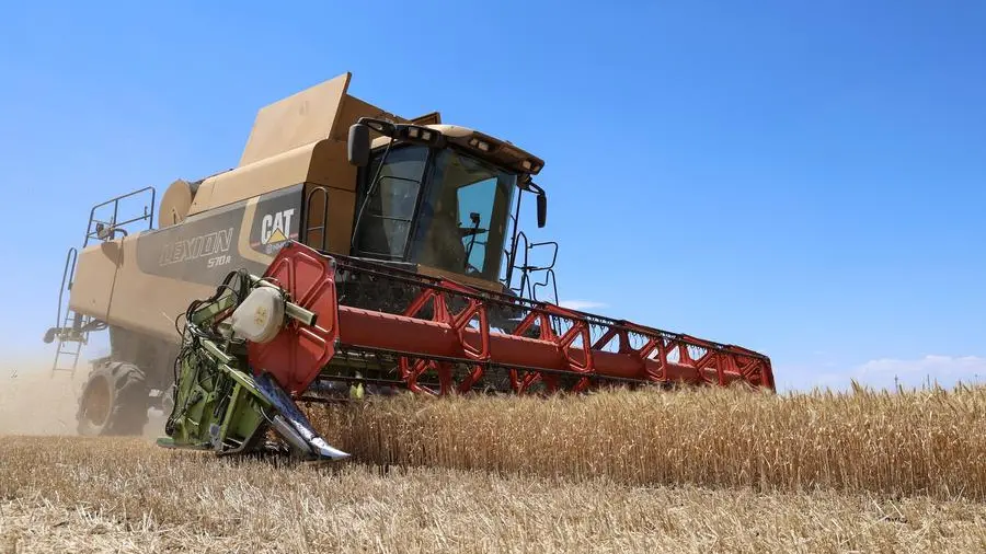 Jordan issues tender to buy up to 120,000 tons of wheat, traders say