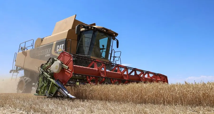 Wheat, corn and soy steady after price falls stoke demand