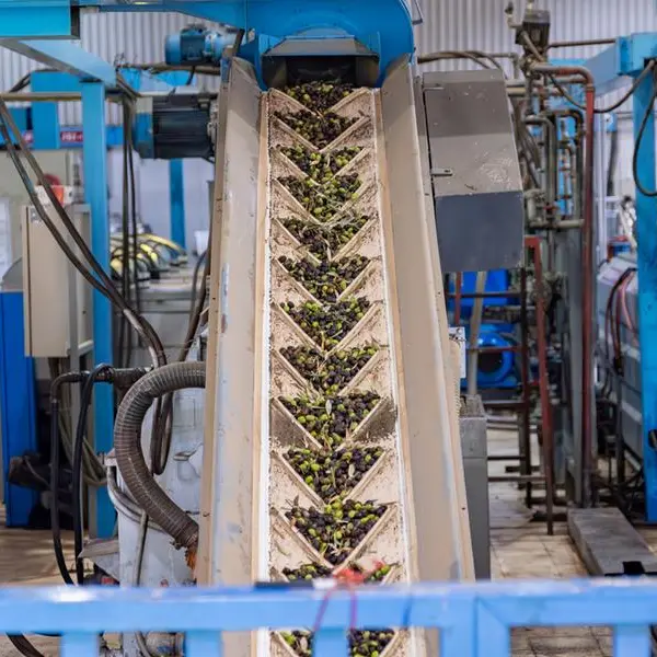 Jordan: Industrial production increases by 2.07% in 5 months
