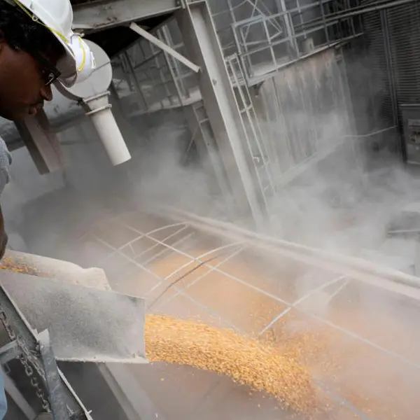 What’s up with the wacky CBOT corn spreads? - Braun