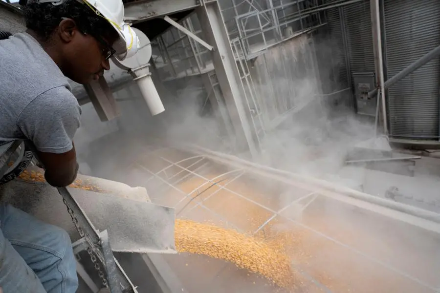 FILE PHOTO: Isaac Moser loads corn into a truck during harvest season at Deerfield AG Services grain elevator facility in Massillon, Ohio, U.S., October 7, 2021. Picture taken October 7, 2021. REUTERS/Dane Rhys. , Reuters
