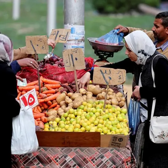 Fiscal, monetary policy coordination key to curbing inflation: Egypt's minister